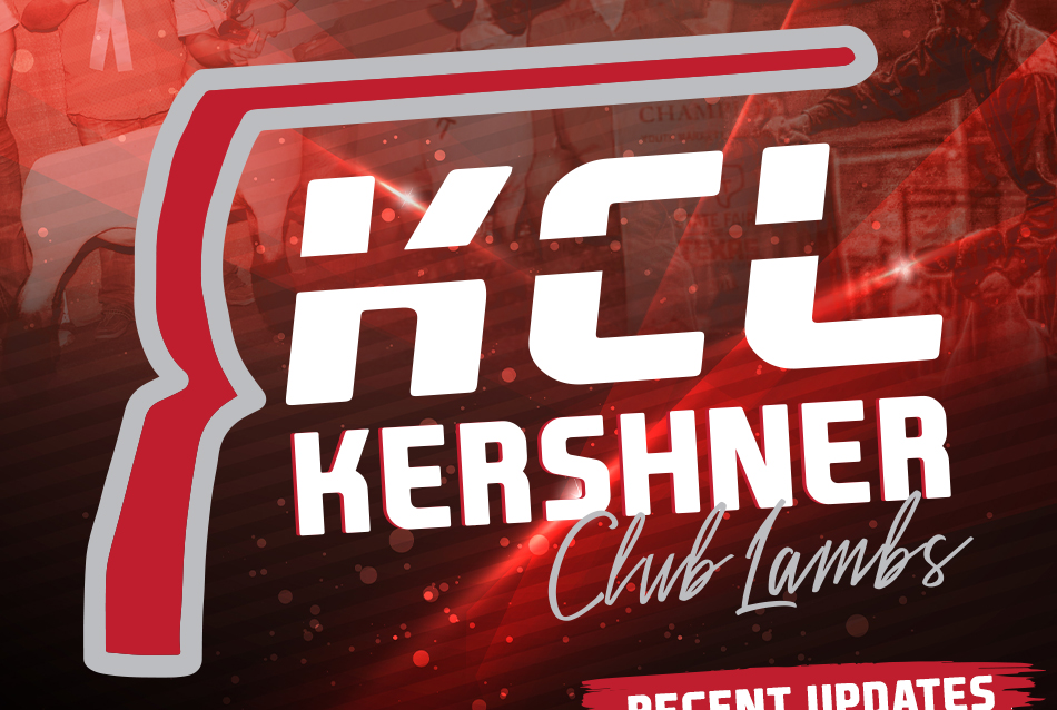 Kershner Club Lambs